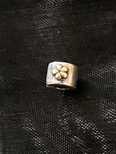 Pandora Charm Clip Bicolor