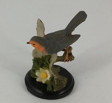 Rotkehlchen - Vogel Welt