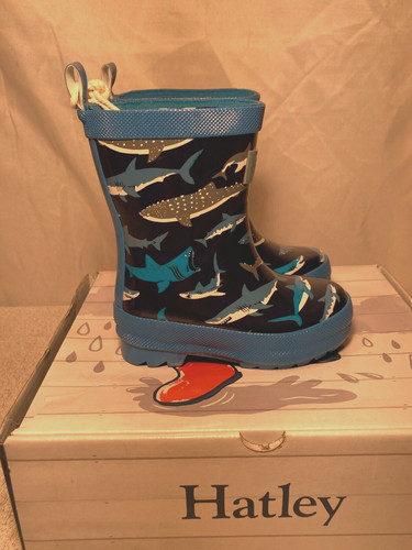 Hatley jungen shiny - shiny, shark