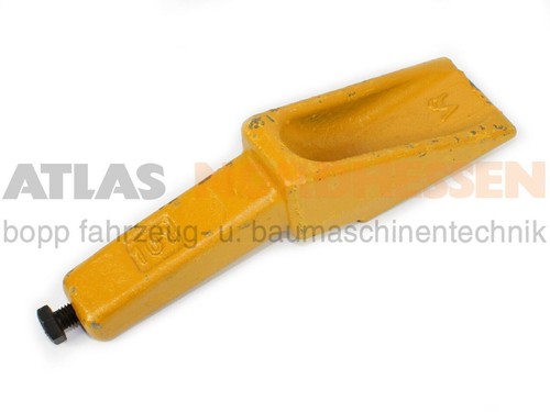 830899 hülsenzahn zahn atlas - hülsenzahn,,