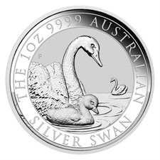 Australien 1 oz Silber Schwan