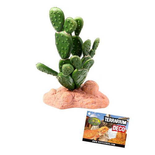 Reptilenova kunstpflanze - reptilenova,