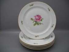 Fürstenberg 5 Speiseteller Rote Rose Alt Fürstenberg Essteller Goldrand