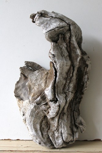 Treibholz schwemmholz - treibholz,