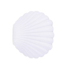  1 Stück Muschelform Schöne