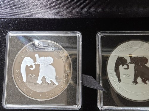 Somalia elephant black - 2, oz