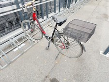 Pegasus Herrenfahrrad Schwarz