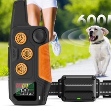 Hund Erziehungshalsband mit