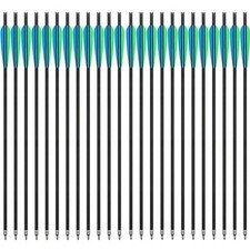 12/24Pcs 20" Archery Carbon