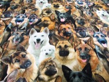 Schäferhund Sheperd  weiß Elisabeth Studios Patchworkstoff Baumwolle 50x110 cm