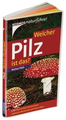 Welcher pilz ist das 170 - pilz,