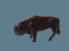 Heinerle Domplast Manurba Tier