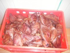 Schweineohren premium 100 Stück  AKTION  premium Hundesnack