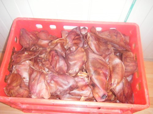 Schweineohren premium 100