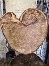 Baumscheibe holzscheibe - baumscheibe,,