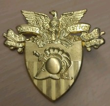 West Point Akademie Abzeichen Goldenes US Mützenabzeichen 