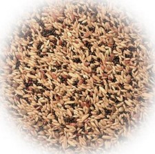 (2,52€/kg) Kanarienfutter