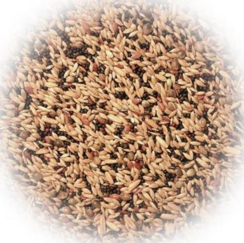 Kanarienfutter - (2,52€/kg),