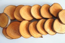 10 x Holzscheiben  Astscheiben