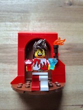 LEGO 7953 Kingdoms Hofnarr