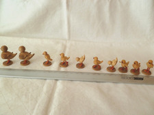 Entenfamilie  Ente Küken aus