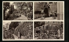 AK Dresden-Loschwitz, Schloß Eckberg in der Bautzner Straße 134 mit Rosenzauber 