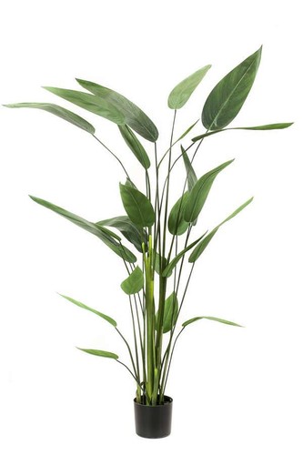 Artplants kunstpflanze - artplants,