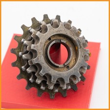 EVEREST CAIMI CASTANO 5 GANG