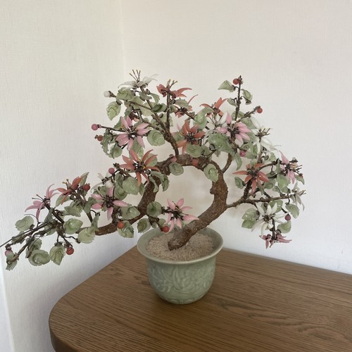 Chinesischer hartstein bonsai - chinesischer,