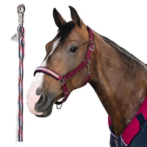 Eskadron halfter mit - eskadron,