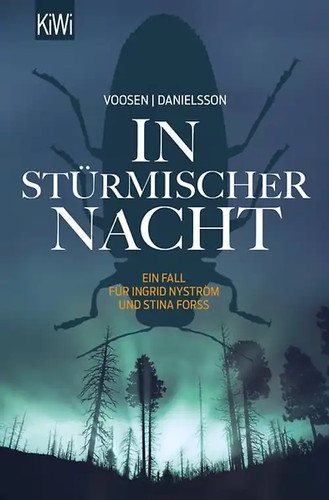 Stürmischer nacht - in,
