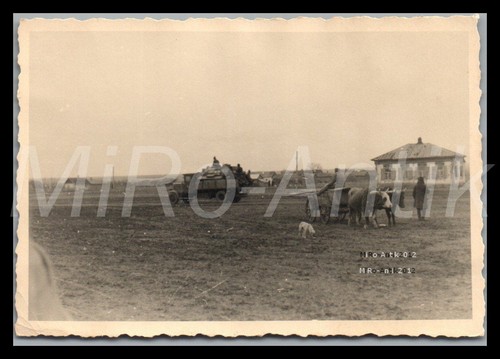 Foto ww2 bessarabien 1944 - foto,, ww2,