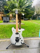 EVH Wolfgang, Zustand