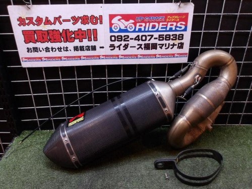 Akrapovic slip line carbon - slip-on,