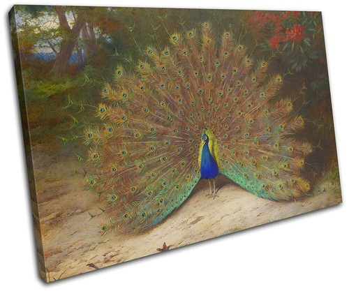 Archibald thorburn pfau - thorburn,