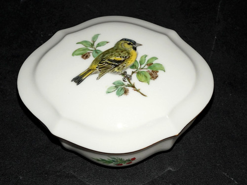 Meissen vogel malerei - meissen,
