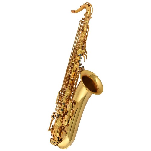 Chicago winds ts5100l - cc-ts5100l, pro