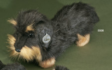 Förster Rauhaardackel