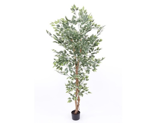 Kunstbaum ficus benjamini - kunstbaum,