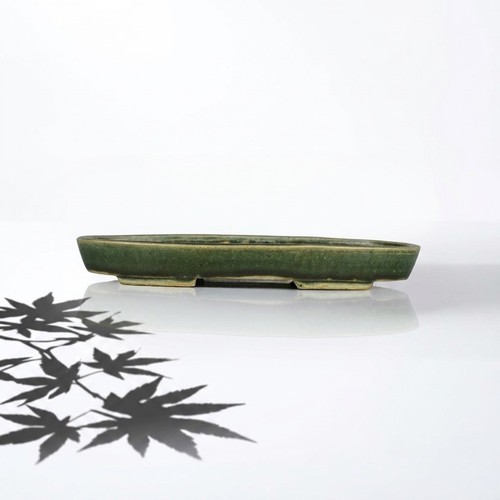 Shibakatsu 20cm tokoname - shibakatsu,