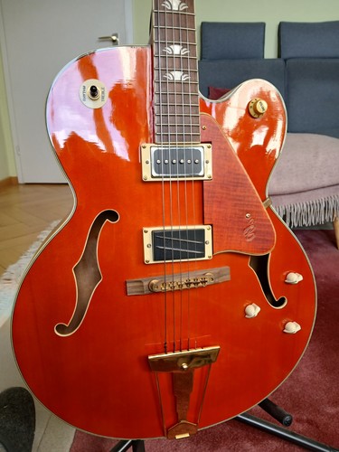 Guitarre luxusmodell gebraucht