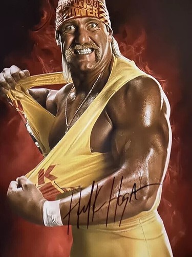 Hulk hogan - hulk,