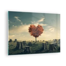 Wandbilder 70x50cm Glasbild
