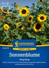 Sonnenblume * King Kong * MHD 01/29 Riesensonnenblume Kiepenkerl Samen 1065950