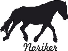 2 x Auto Aufkleber NORIKER