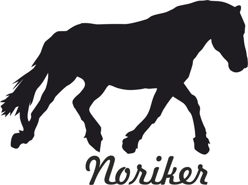 Auto aufkleber noriker - 2, x