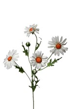 Künstliche margeriten weiß - margeriten,