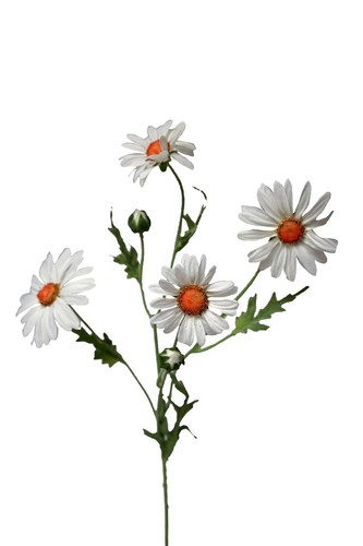 Künstliche margeriten weiß - margeriten,