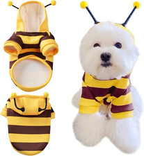 Katzen Bienenkostüm