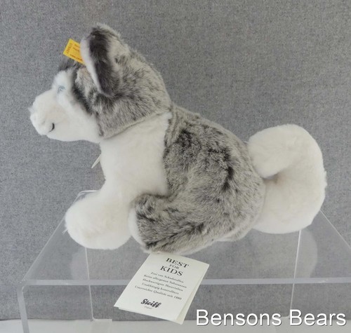 Steiff cosy bernie - steiff, husky